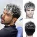  парик Silver Wolf Short полный парик сеть имеется серебряный . чёрный .silver волосы long full парик природа легкий маленький лицо эффект натуральный Sara блеск 