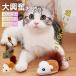  кошка игрушка кошка. игрушка электрический мышь домашнее животное один человек развлечение игрушка кошка для подарок Рождество -тактный отсутствует аннулирование движение нехватка кошка товары товары для домашних животных кошка смешанные товары 