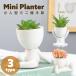  Mini цветочный горшок маленький человек type белый 3 вид керамика керамика садоводство цветочный горшок суккулентное растение кактус садоводство посадочная машина украшение интерьер модный симпатичный ограниченное количество 