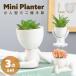 Mini цветочный горшок маленький человек type белый 3 body комплект керамика керамика садоводство цветочный горшок суккулентное растение кактус садоводство посадочная машина украшение интерьер модный симпатичный ограниченное количество 