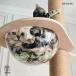  башня для кошки космический корабль кошка walk кошка подножка кошка Capsule кошка для прозрачный Capsule type 