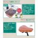 �A�C�W���T�C�N�� �܂肽���ݎ��]�� 20�C���` ���]�� �V�}�m6�i�ϑ� �J�S�t�� ������� �ʋ� �ʊw �X��� [TS-20] �֘A�摜4