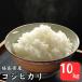  rice . rice 10kg. peace 5 year production Fukushima prefecture production Koshihikari white rice 10kg(5kg×2 sack ) free shipping ( Okinawa * remote island postage separately +1100 jpy )