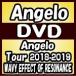 Angeloʥ󥸥ˡ2DVD/Angelo Tour 2018-2019WAVY EFFECT OF RESONANCEס19/4/24ȯ䡡ꥳŹ