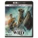  Disney 2Blu-ray/... .. голос 4K UHD 20/7/3 продажа Orrico n вступление магазин 