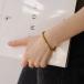 N213 �o���O�� �T�[�W�J���X�e�����X �����A�����M�[�Ή� ���߉\ �Ղ����� �֘A�摜1