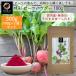  Be tsu пудра Be tsu порошок Be tsu тест . Be tsu пудра 300g (100g×3 пакет ) ( местного производства )