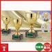  чемпионский кубок CI-1047-C: бейсбол * каратэ * Golf * футбол * копия * все жанр . победа кубок * чемпионский кубок 