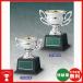  дешевый cup CT-1067-A resin ( полимер ) cup (. надеты металлизированный обработка ) много покупка ., собрание. участие .., низкий бюджет час 