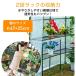�r�j�[���n�E�X �ƒ�p ���� �K�[�f�j���O �g���� �Ȉ� �O���[���L�[�p�[ �h�[���^ ���� 3�i ���^ ���|�p �r�j�[�� �K�[�f���n�E�X �~�j �_�� �K�[�f�����b�N �֘A�摜3