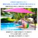 �K�[�f���p���\�� �x�[�X ��^ �n���M���O�p���\�� 300cm �p���\�� �� �X�� �p���\���X�^���h �����p���\�� �K�[�f�� �V�F�[�h �K�[�f���p���\���Z�b�g ���ɋ��� �֘A�摜4