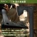 ���@�\�� �L�����v �蕀 ���\ �c�[�� ���^ �m�R�M�� �� �n���}�[ �y�� �T�o�C�o�� �}�O�l�V�E���_ �A�b�N�X �d���� �}�؂� ������ �A�E�g�h�A �L�����v od570 �֘A�摜5