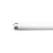 FL20SSEDC18LLN Toshiba прямая труба лампа дневного света 20W форма прозрачный дневной свет 3 волна длина форма днем свет модель g жаровня ta форма сочный Z длительные срок FL20SS*EDC/18LLN