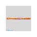 ��ɩ��ɮ  PUS-102T.4 �ץ��ѥ� PUS��102T �� 4�ڣ��ܡ� PUS102T.4