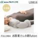 �A���t�@�b�N�X 438908 FULUWA ����҂���̌�futon