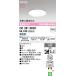 OD261892R �Ɩ���� �_�E�����C�g  (��100�E���M��60W�N���X) LED�i�����F�j �I�[�f���b�N