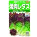 реальный . овощи lettuce yakiniku lettuce красный лист chima* гибрид сельдерея и салата маленький пакет 003038