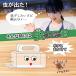�R�����C�t ���L���b�`�N �� �L���b�`���[ ���߂� �g���� �ߊl�� �G�炸������ ���ˌ��t �����ώ@ ���{�� �֘A�摜2