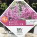 PW. lilac dowa-f лиловый 5 номер l Hanaki 04-PA