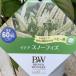 PWitea snow fiz11cm длинный pot l Hanaki 04-PA