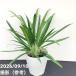  UGG laonema bit kisi5 номер l. лист 01-D1