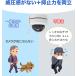 �h�ƃJ���� ���O ���C�����X  �Ď��J���� wifi �h�[���^ PTZ �ƒ�p �����ǔ� ���u�Ď� AI���m 500����f NVR���݉\ �������O���p �㏑���^�� AC-HC905 �֘A�摜3