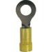 ȥ󥰥ۡ EV10-38RB-Q ӥˡʤհü ݷ  AWG1210/3.55.5sq եͥ M10 25
