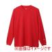 �����ԥ��� C3-XS491 LONG SLEEVE T-SH ��������å� M