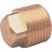 ڥ᡼ġۥ NP-1001R ͳѥץ饰 PT1/8 RoHS ASOH