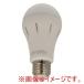 ���{�h�ЃX�L�[�� ���ł������v tsuita �����F LED�d�� 660lm E26����