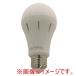 ���{�h�ЃX�L�[�� ���ł������v tsuita �d���F LED�d�� 660lm E26����