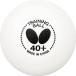 �^�}�X �o�^�t���C �싅 ���K�� �o�^�t���C �g���[�j���O�{�[�� 40+ 10�_�[�X 120�� �z���C�g 270 95840 Butterfly