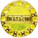 [ почтовая доставка выбор возможно ] - tachiBH6035 ground Golf crystal маркер (габарит) желтый 45 HATACHI