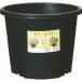 DIC NPP-25-BK NP�|�b�g 25��