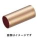ڥ᡼ġۥȥ饹 Ƽѥץ꡼ 11.829mm 10 TPS-50SQ