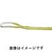 ȥ饹 ݥꥨƥ륹 JIS3 ξü 50mm3.0m TPS50-30
