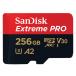 SDSQXCZ-256G-GN6MA (256GB)/SANDISK