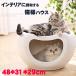 6/11再再入荷 猫ハウス 猫用 ベッドベッド キャットハウス 小型犬 子猫 椅子 インテリア PP樹脂 家具 汚れに強い 48*31*29cm