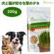 GREEN Labo �O���[�����{ ���ƔL���D���ȑ��̃^�l 200g �h�b�O�t�[�h �L���b�g�t�[�h ���L �a ���� �L�� ����� ��