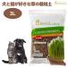 GREEN Labo �O���[�����{ ���ƔL���D���ȑ��͔̍|�p�y 3L ���L  ���� �L�� �͔|  ��