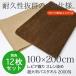 ���唻�o�X�^�I�� �Ɩ��p ��100�~200cm ���s�A�D�� �X�������� 2000�� �u���E���n ���F12���Z�b�g