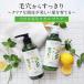 �������� �V�����v�[���g���[�g�����g �z�� �����f�B�A�� �~���g&������ �e300ml �l�ߑւ� ���t�B�� ���Y�� �m���V���R�� �֘A�摜2