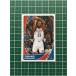 PANINI 2020-21 NBA STICKER & CARD COLLECTION #425 TERRANCE FERGUSONOKLAHOMA CITY THUNDERϡ