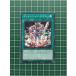 ͷ ANIMATION CHRONICLE 2022 #AC02-JP006 ǥ󥸥󡦥 ΡޥNס