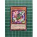 ͷ ANIMATION CHRONICLE 2022 #AC02-JP048 󥯥åץ ΡޥNס