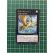 ͷ OCG ɡ󡦥֡ޥƥ ŷεѥDAMA-JP046ϥΡޥNס