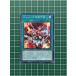 ͷ OCG WORLD PREMIERE PACK 2021 ߥ塼ȥꥢȿͺѡWPP2-JP024ϥΡޥNס