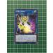 ͷ OCG WORLD PREMIERE PACK 2021 ιݵWPP2-JP052ϥΡޥNס