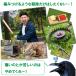�L�悯 �����g �������ފ� �\�[���[ �Q�b �h�� �� ��� �J���X �l�Y�~ �ŋ� ���ʐ�� �΍� �C�m�V�V ���Q �� �� �� �R�E���� ���T�V�[�m �֘A�摜3