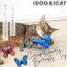  кошка. игрушка iCat.....ka автомобиль ka автомобиль . котовник кошачий ввод ......
